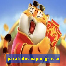 paratodos capim grosso